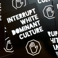 Interrupting White Dominant Culture in Museums